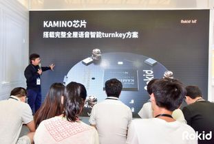 Rokid引领全屋智能语音化新纪元 AI人工智能产品技术的创新开发与应用